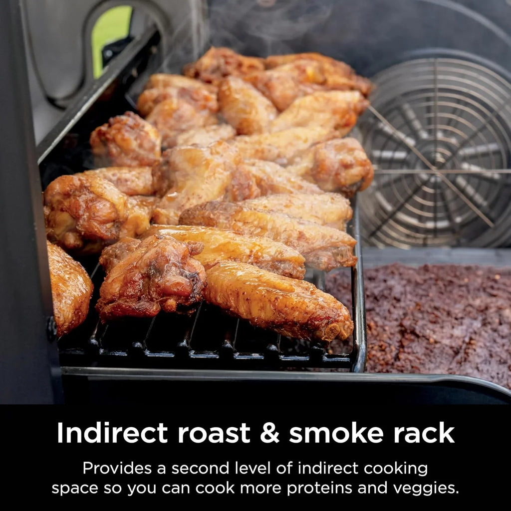 Ninja FlexFlame, Grils et fumoirs, Grils électriques et au propane, Rôtissoires, Grils de barbecue,