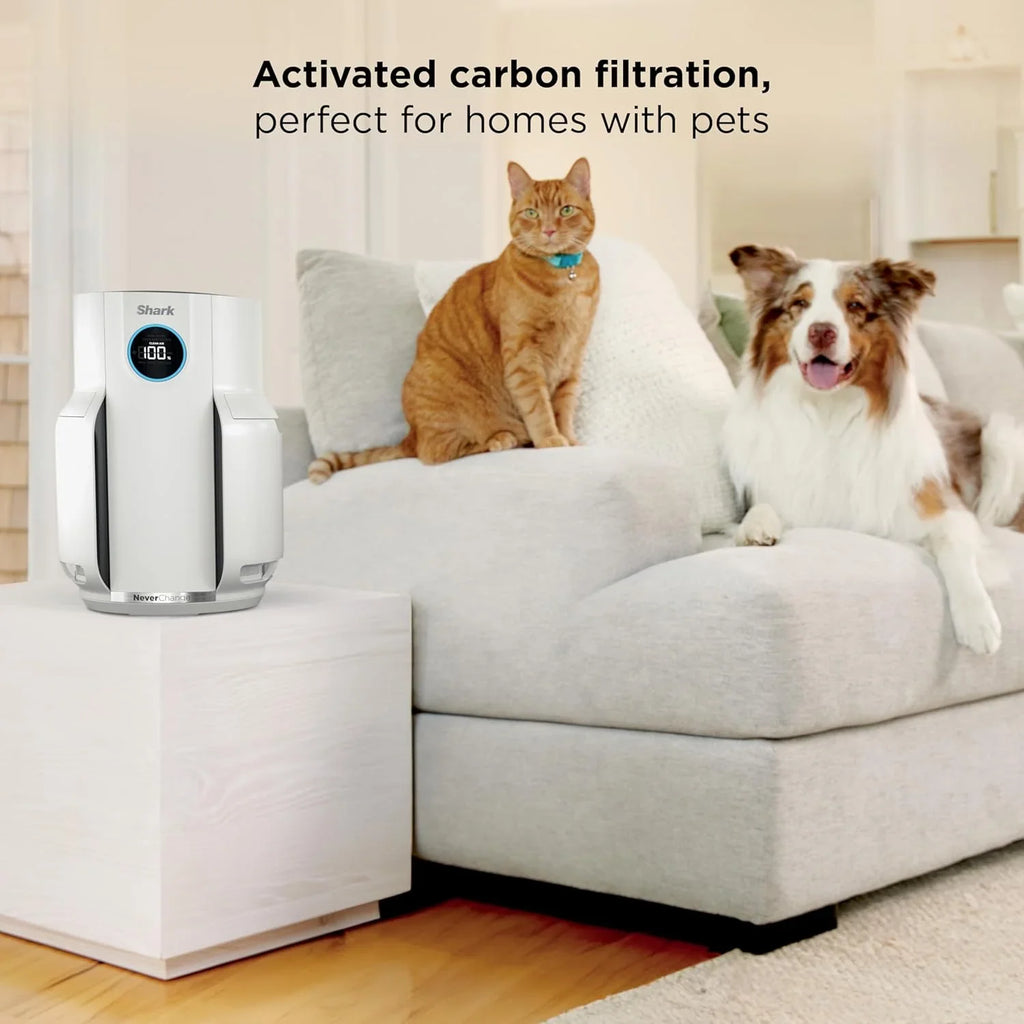 Purificateur d'air Compact Pro avec filtration HEPA longue durée, pour squames d'animaux, poussière, fumée, allergènes, jusqu'à 250 pi².