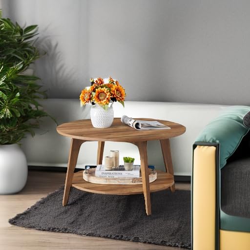 Table basse ronde VASAGLE, table basse double couche avec rangement