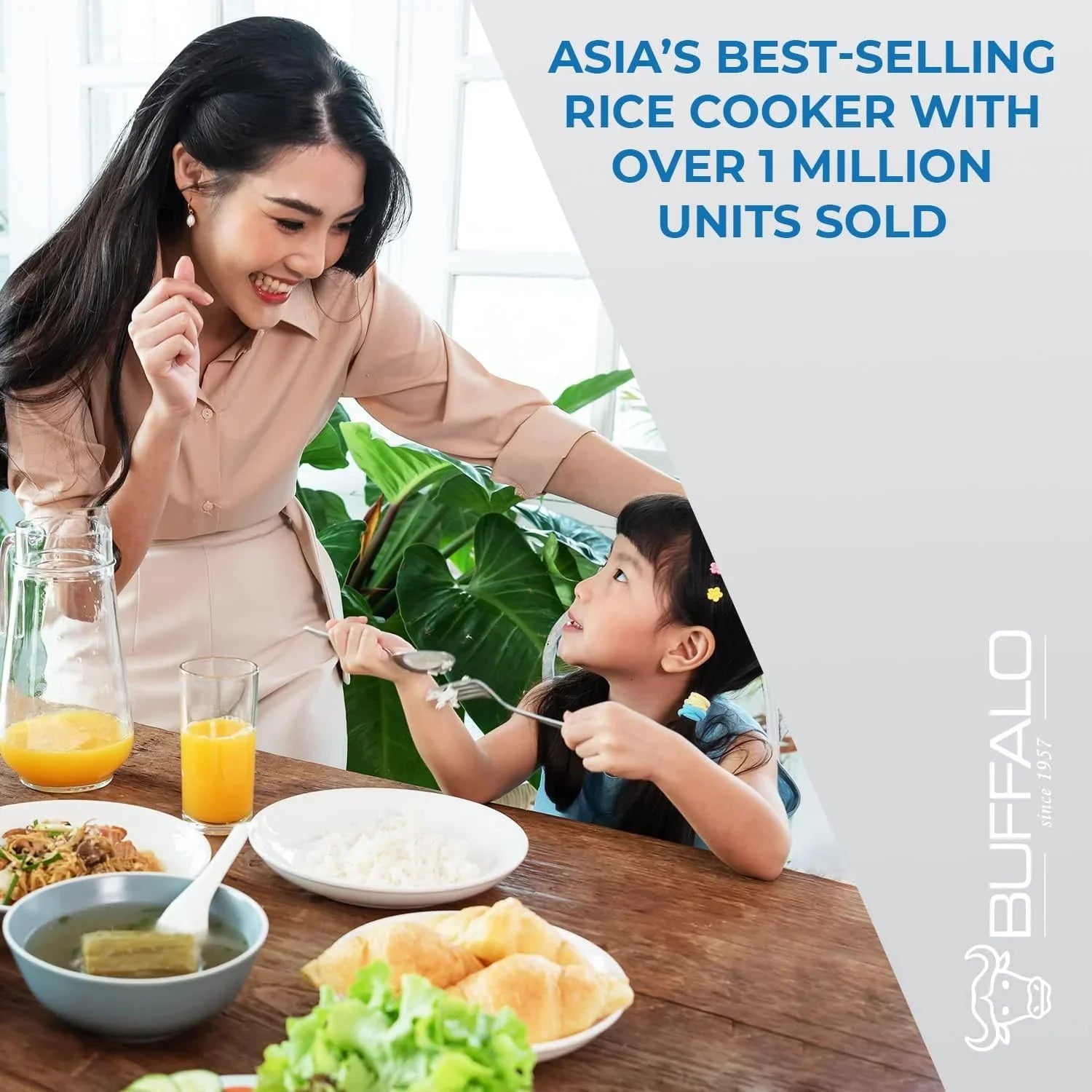 Cuiseur à riz Buffalo Classic avec cuve intérieure en acier inoxydable composite - Cuiseurs à riz