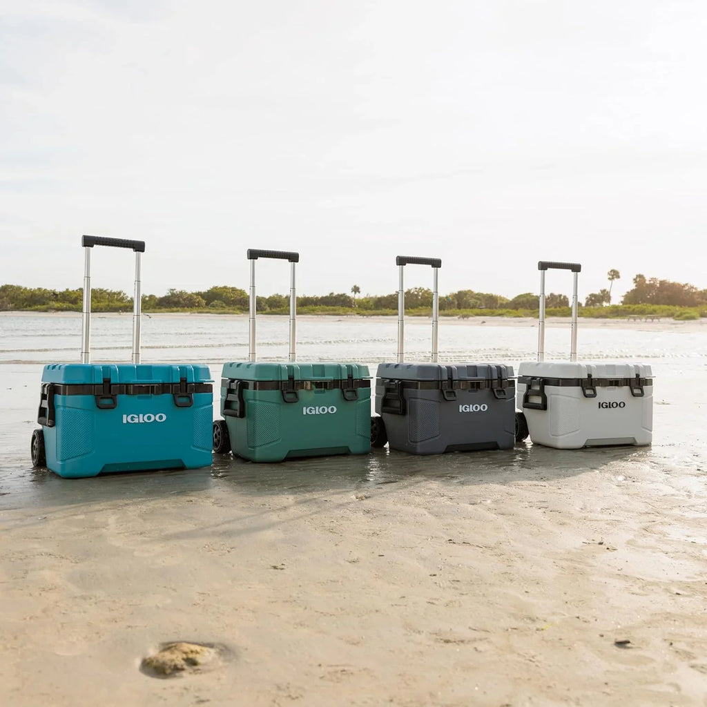 Glacière à roulettes Igloo 52 pintes, glacière rigide isolée