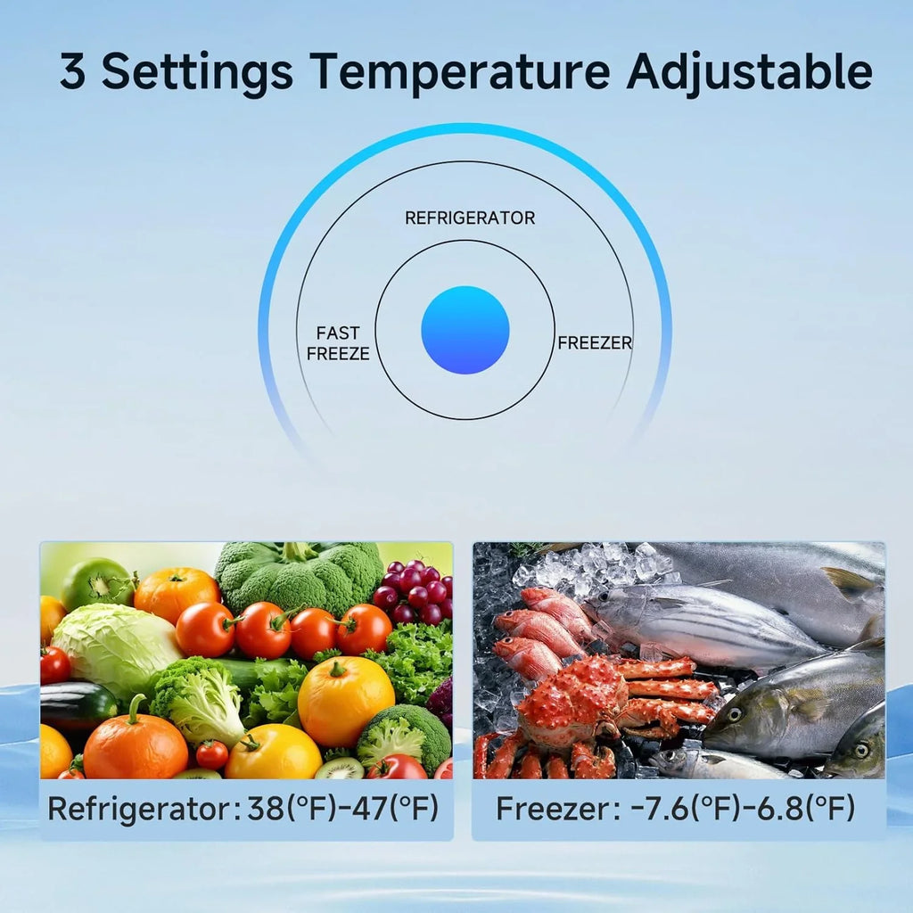 Congélateur vertical Bangson, 7 pieds cubes, congélateur/réfrigérateur vertical convertible