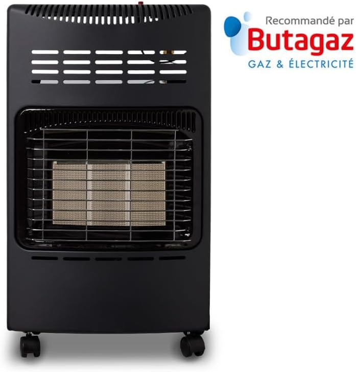 Favex 8630047 Surchauffeur à gaz 4200 complet avec tuyau et régulateur