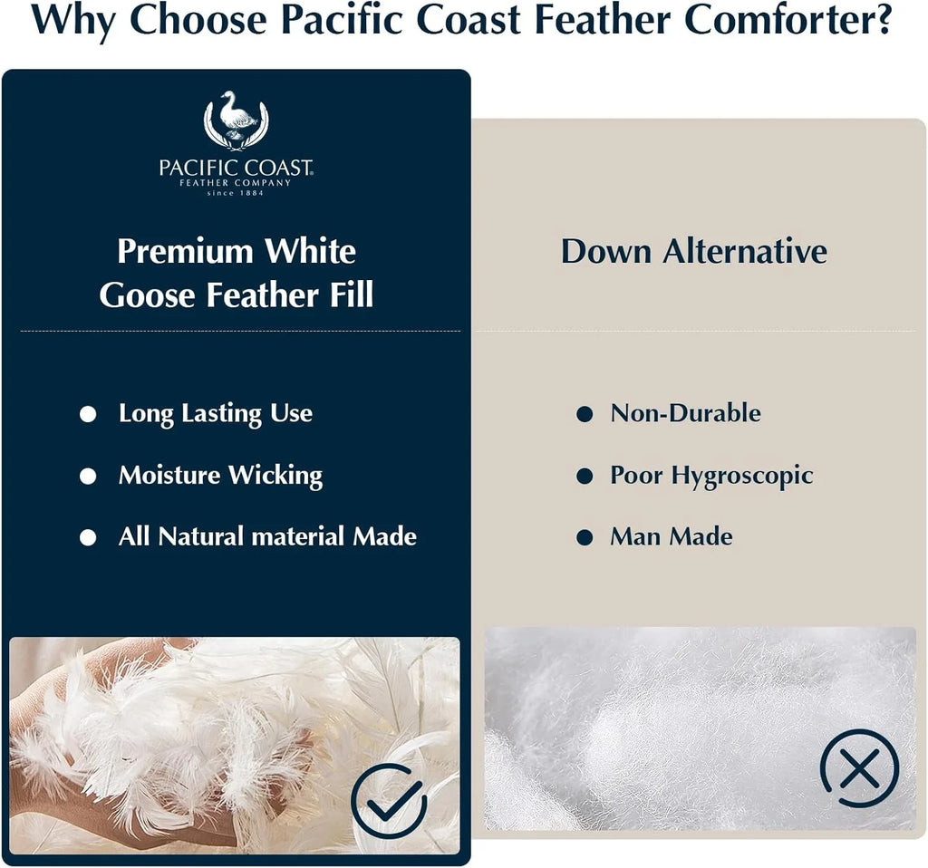 Couette en plumes d'oie taille queen, 100% coton, noyau de couette blanc super moelleux, doux et respirant