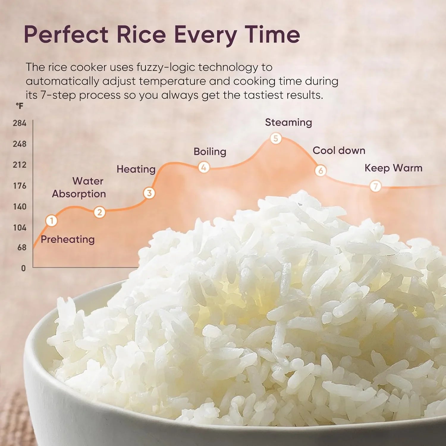 Cuiseur à riz COSORI 10 tasses avec maintien de la chaleur 24 heures sur 24 et pot intérieur en céramique antiadhésif, cuiseur vapeur, friteuse et mijoteuse