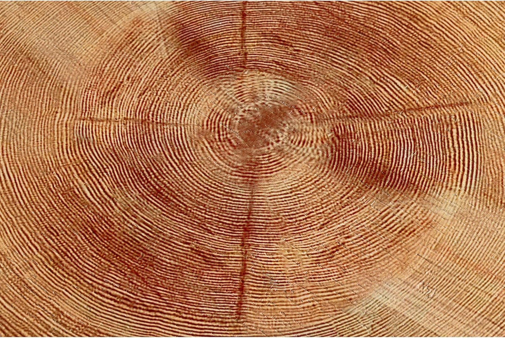 Ensemble de deux tables basses de salon de style ferme moderne