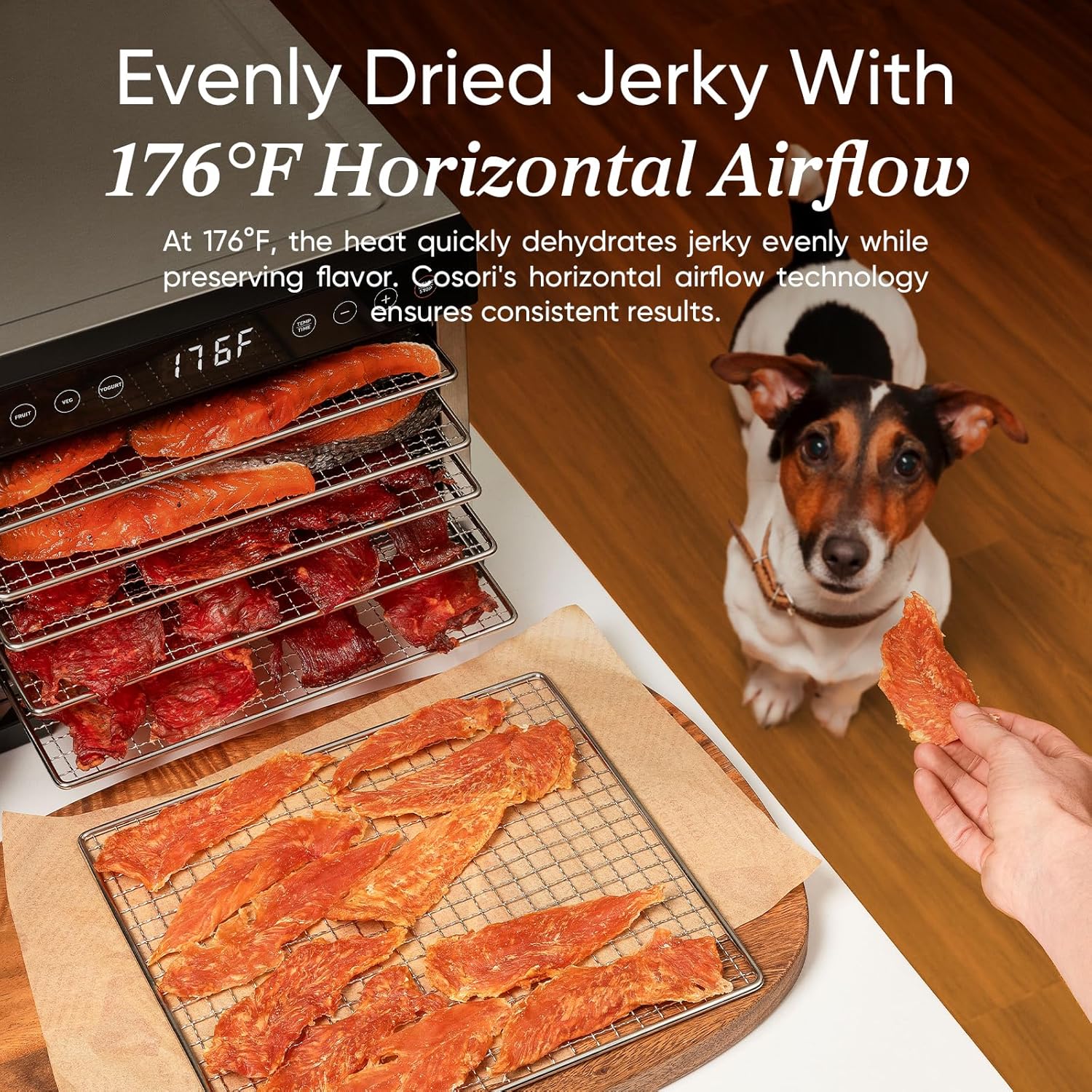 Déshydrateur alimentaire COSORI, plus grand que 7 plateaux avec un grand espace de séchage de 6,5 pouces, puissance de 600 W, gain de temps supérieur à 480 W, déshydrateur à 74 °C