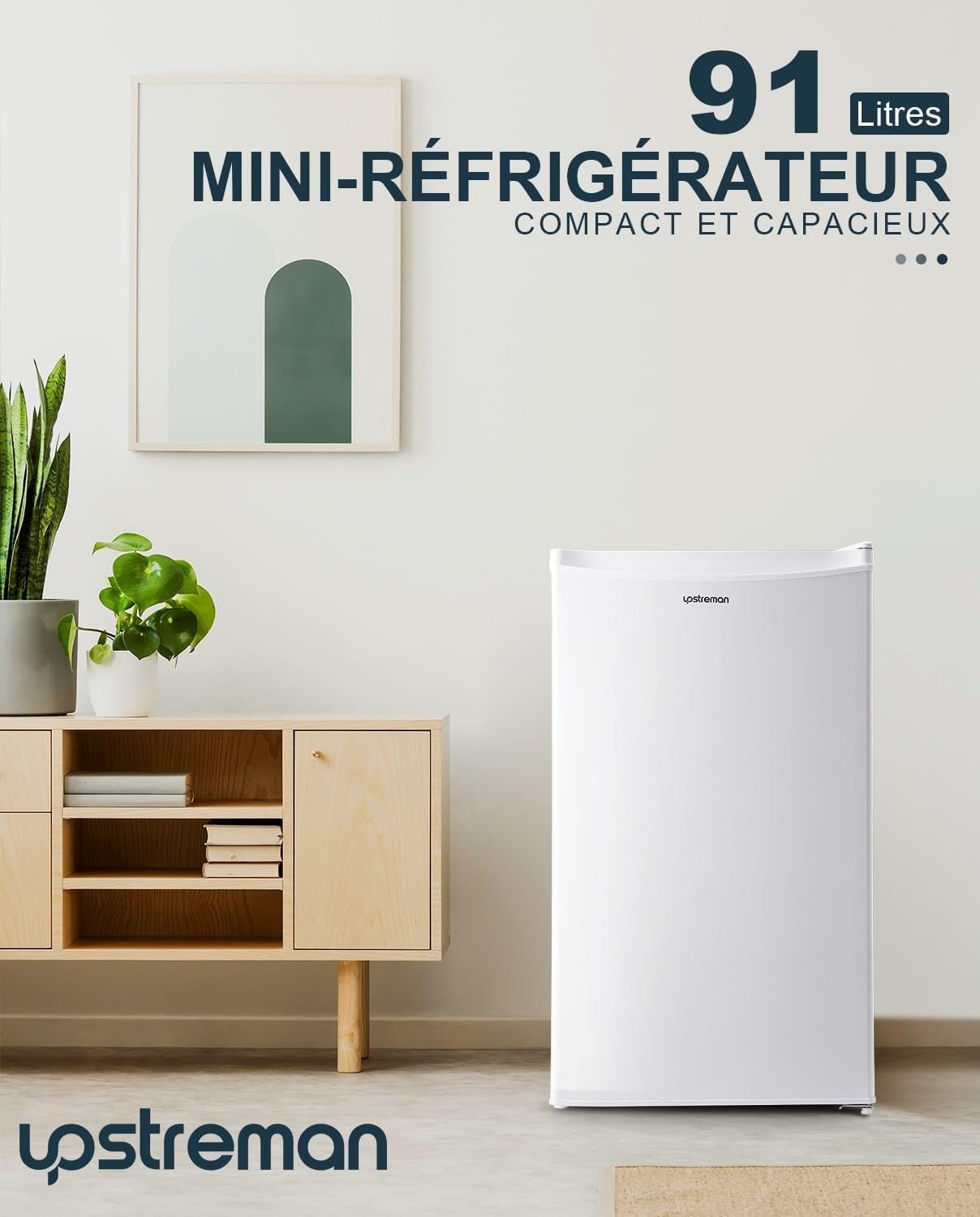Mini réfrigérateur avec compartiment congélateur, bac à légumes 91L, thermostat réglable, silencieux