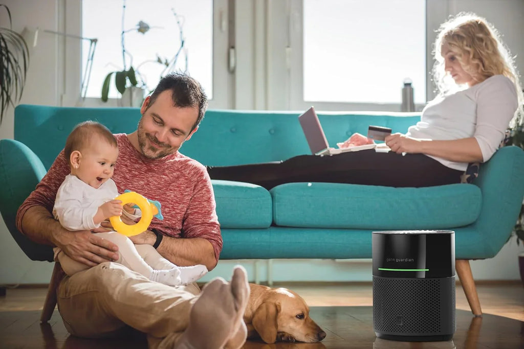 Purificateur d'air pour la maison, pour la fumée des feux de forêt, les animaux domestiques, le pollen, les odeurs, les grandes pièces jusqu'à 1043 pi²