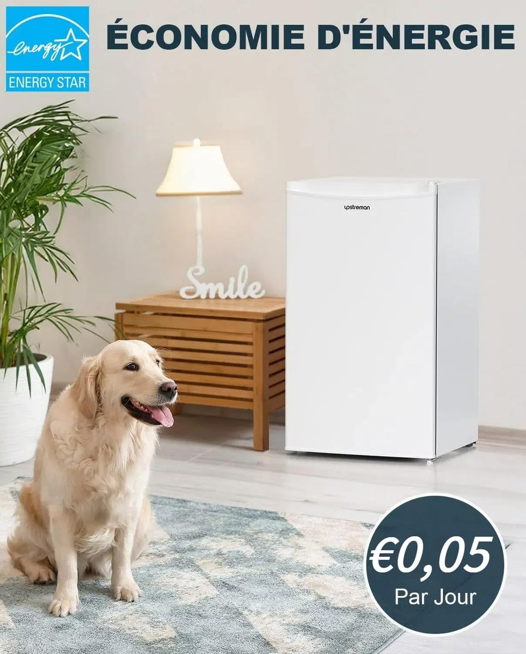 Mini réfrigérateur avec compartiment congélateur, bac à légumes 91L, thermostat réglable, silencieux