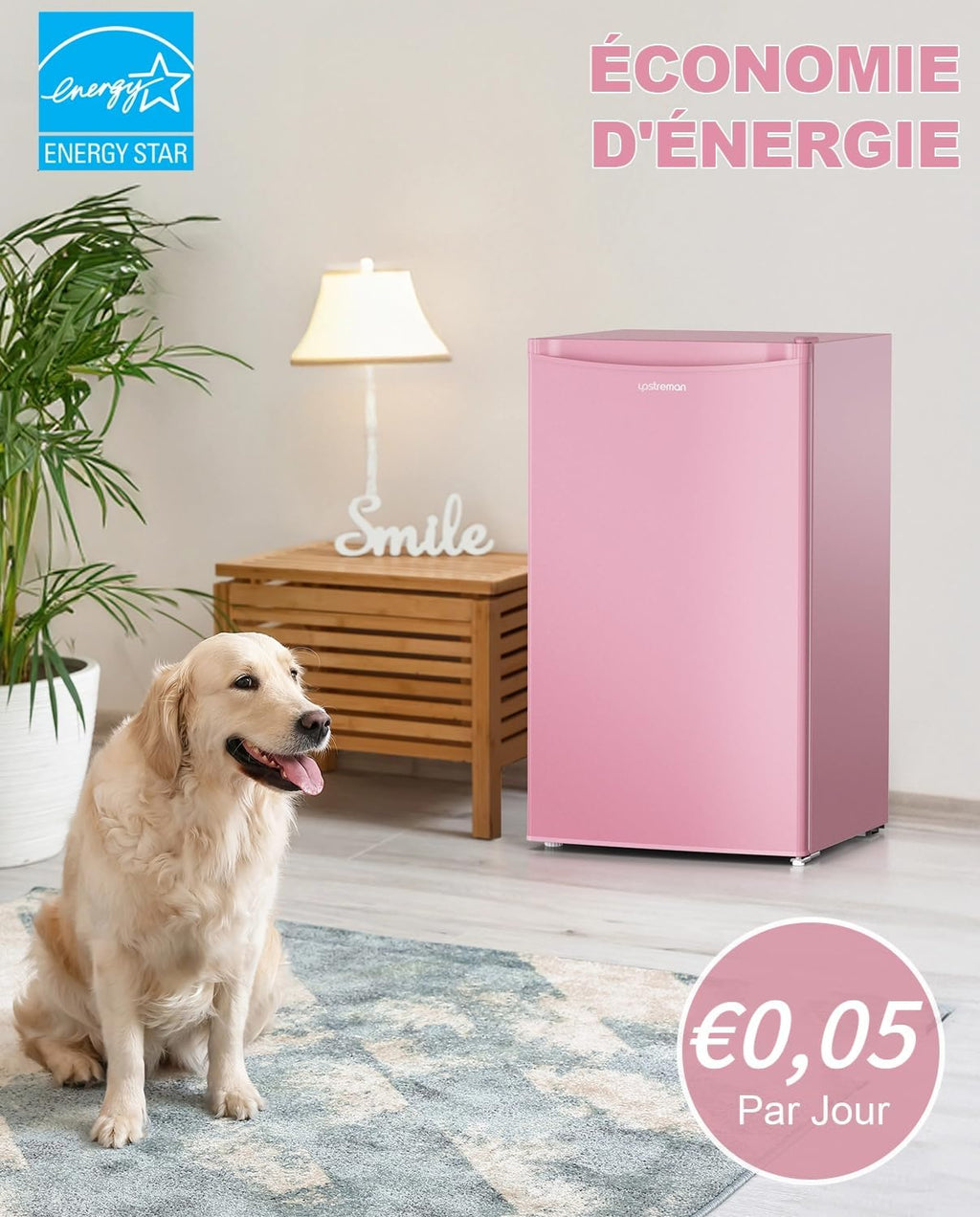 Mini réfrigérateur avec compartiment congélateur, bac à légumes 91L, thermostat réglable, silencieux