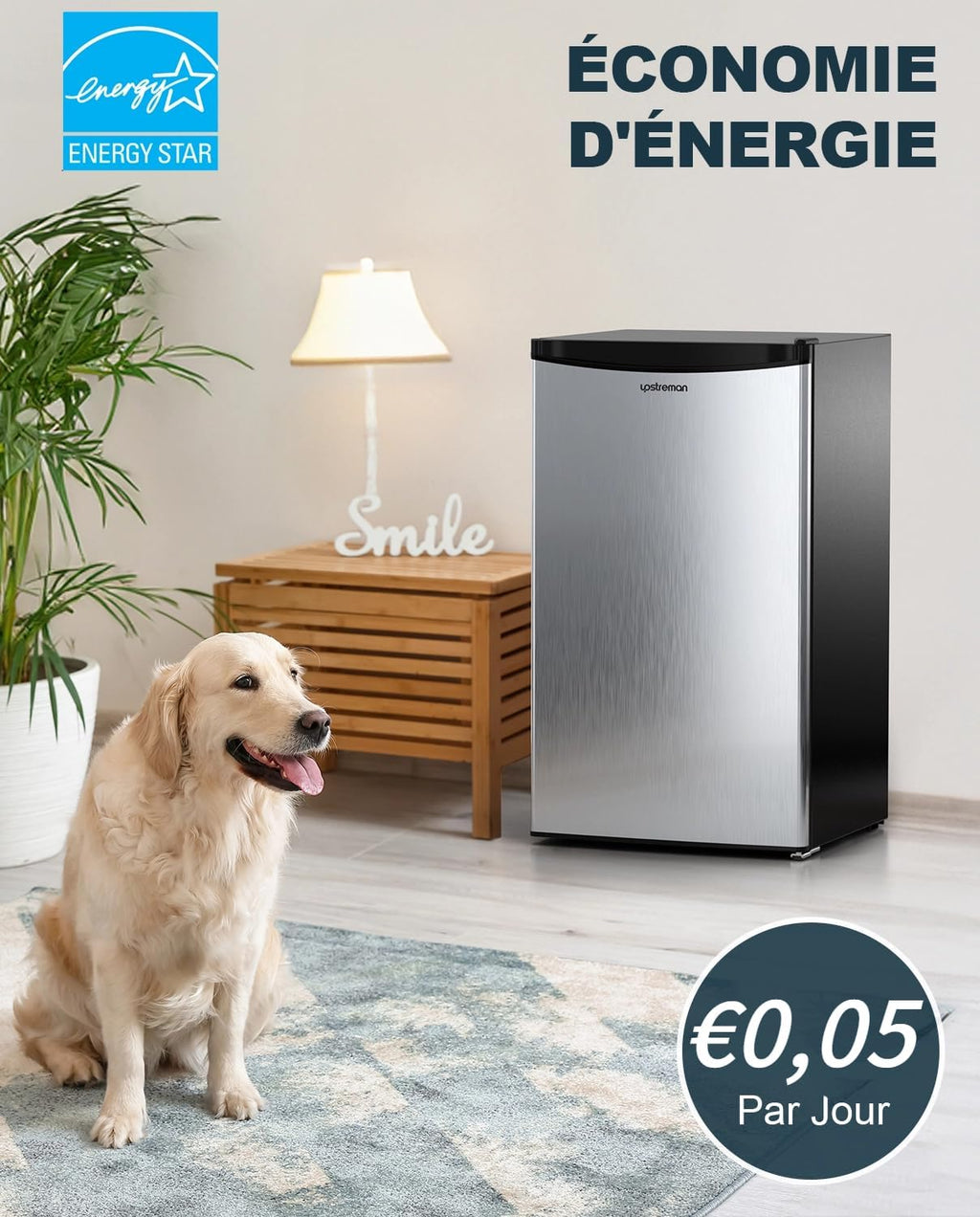 Mini réfrigérateur avec compartiment congélateur, bac à légumes 91L, thermostat réglable, silencieux