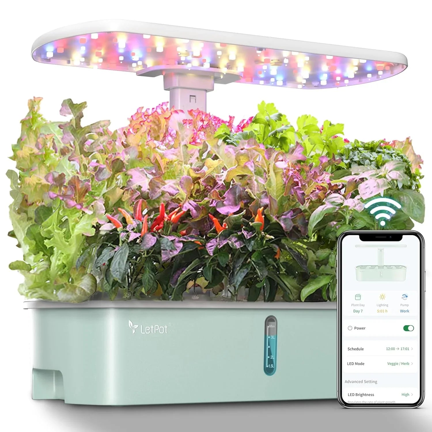 Kit de culture hydroponique, jardin d'intérieur intelligent contrôlé par application et Wi-Fi avec lampe de culture à spectre complet de 24 W