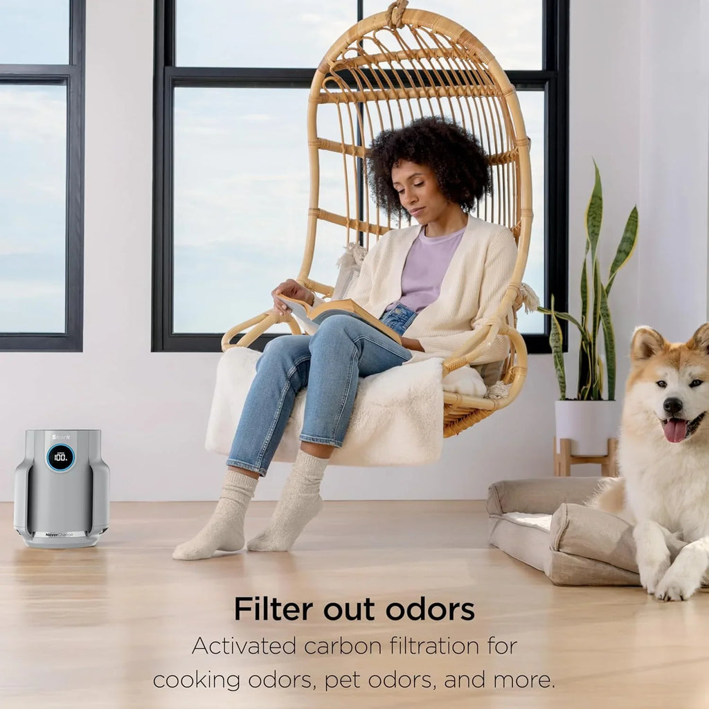 Purificateur d'air Compact Pro avec filtration HEPA longue durée, pour squames d'animaux, poussière, fumée, allergènes, jusqu'à 250 pi².