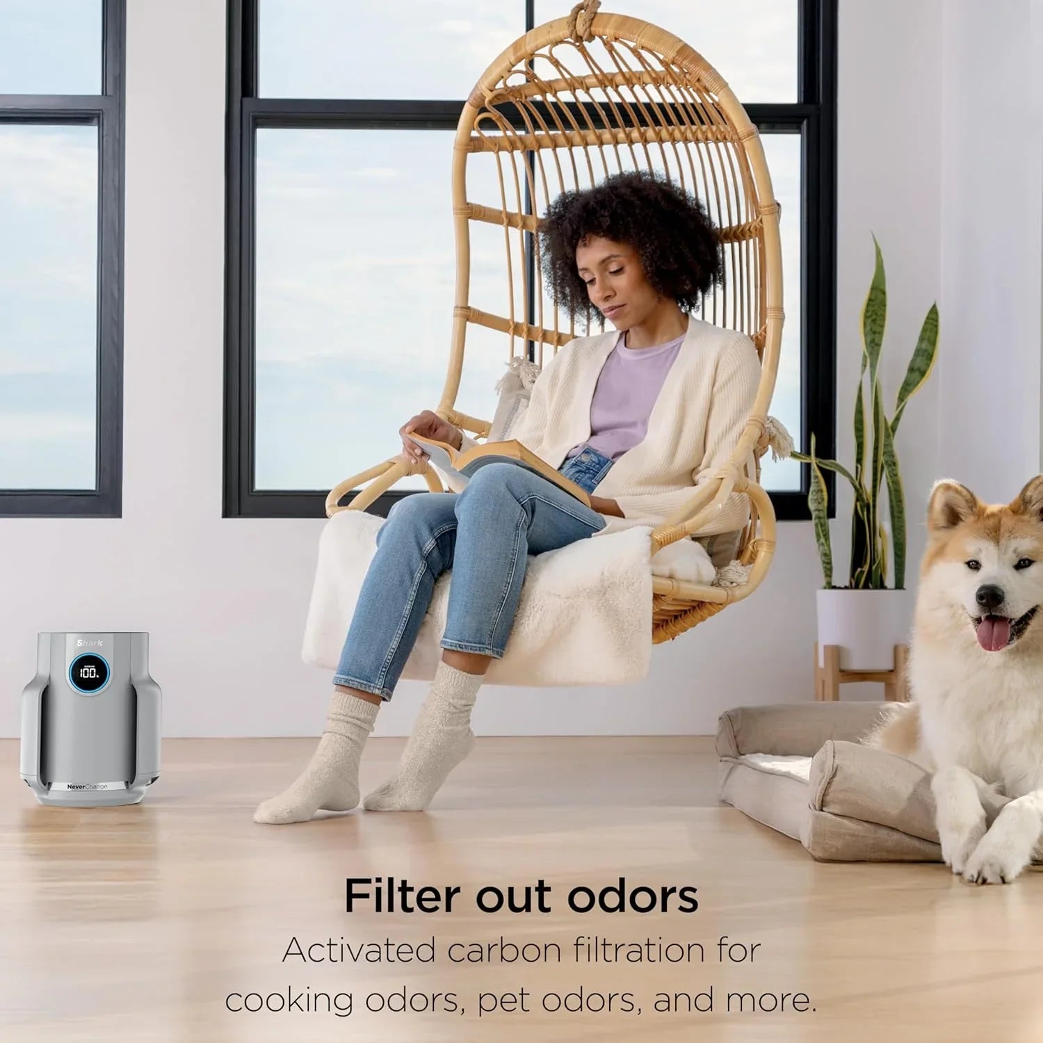 Purificateur d'air Compact Pro avec filtration HEPA longue durée, pour squames d'animaux, poussière, fumée, allergènes, jusqu'à 250 pi².