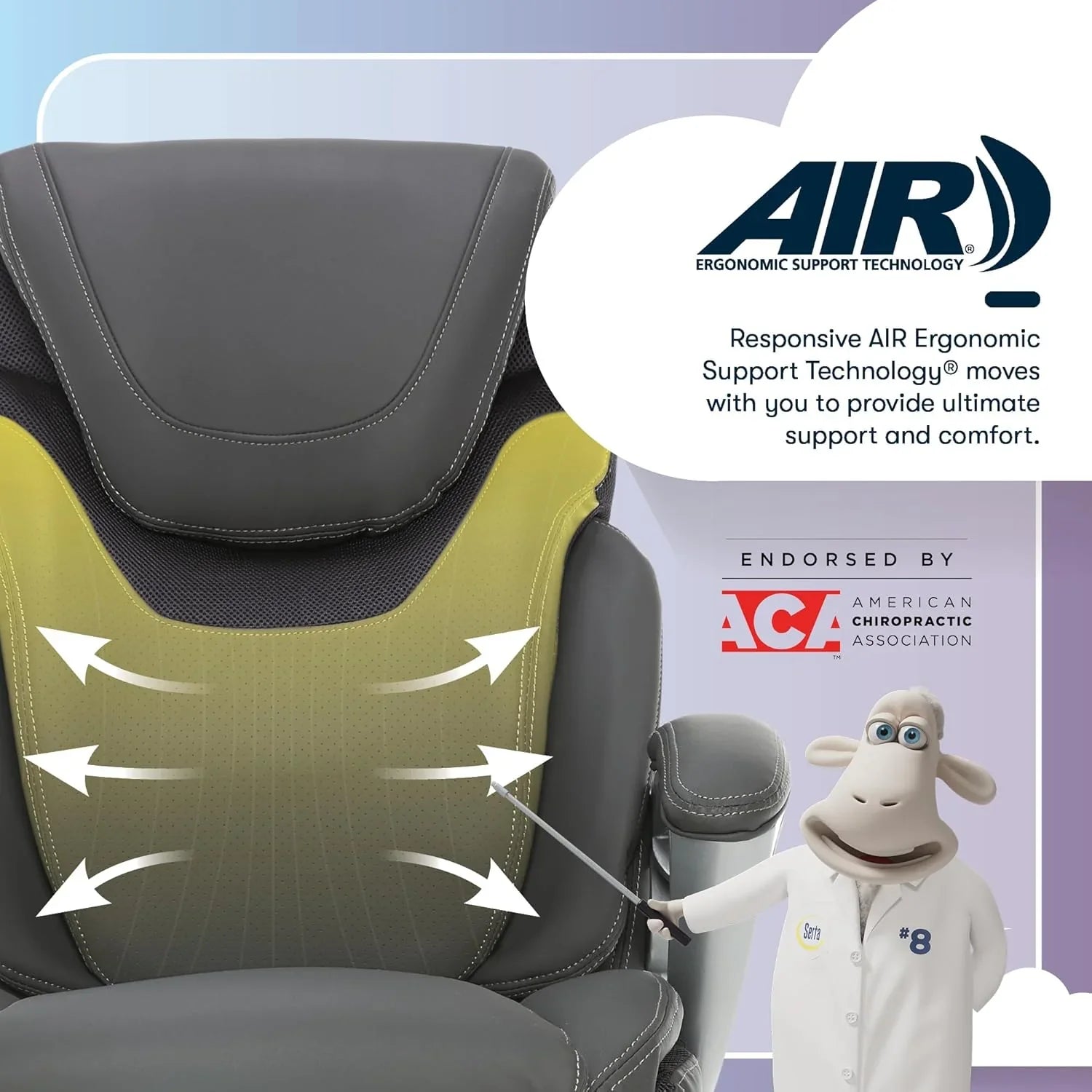 Chaise de bureau exécutive, bureau et chaise d'ordinateur ergonomiques