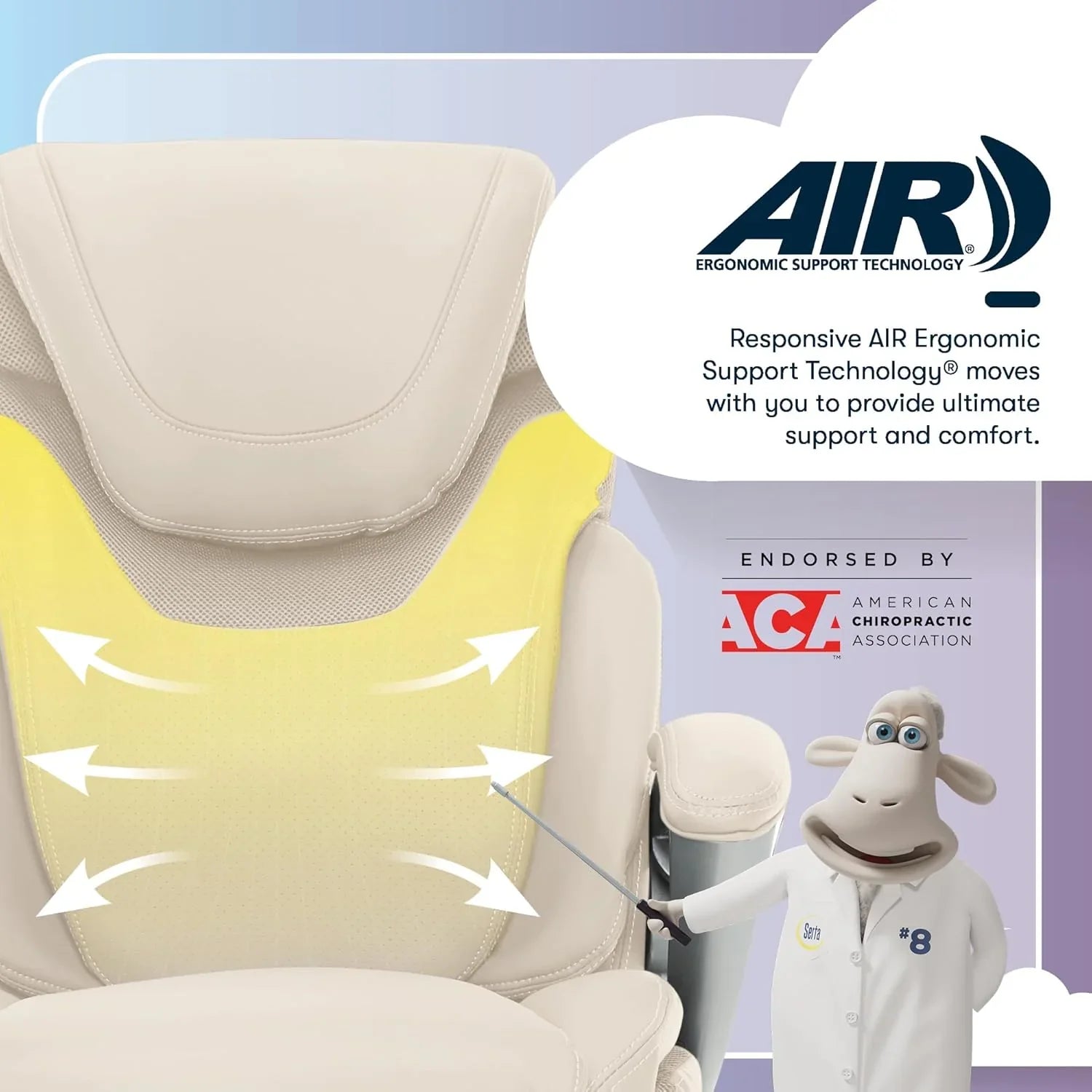 Chaise de bureau exécutive, bureau et chaise d'ordinateur ergonomiques