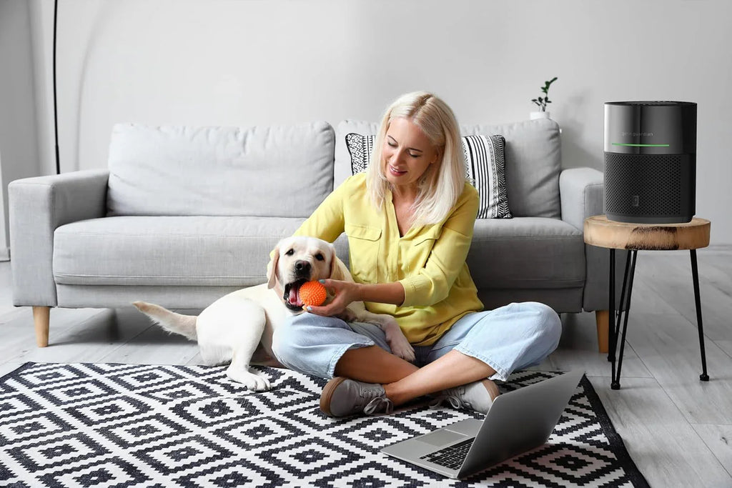 Purificateur d'air pour la maison, pour la fumée des feux de forêt, les animaux domestiques, le pollen, les odeurs, les grandes pièces jusqu'à 1043 pi²
