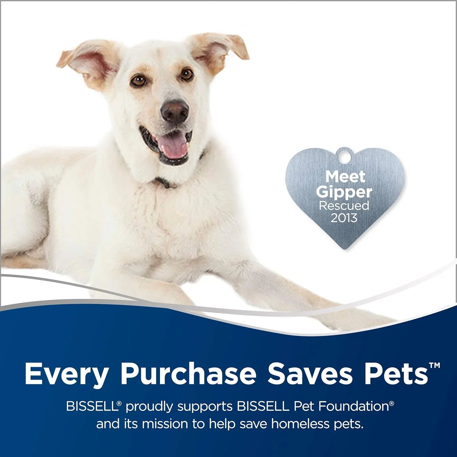 Balai vapeur, nettoyeur vapeur, carrelage, parquet, 1806, Sapphire Powerfresh Deluxe