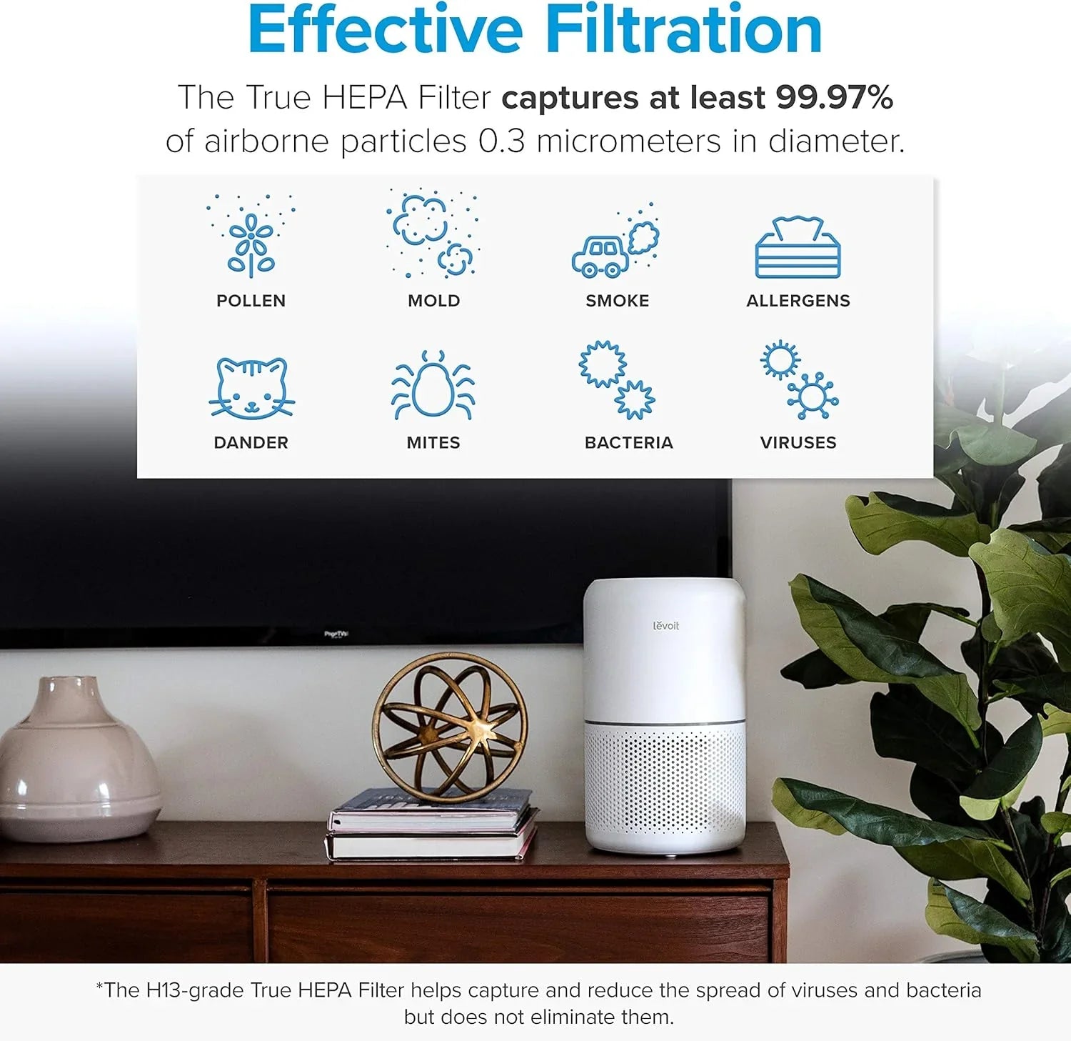 Purificateur d'air pour les allergies et les poils d'animaux dans la chambre, moteur à couple élevé de 56 W