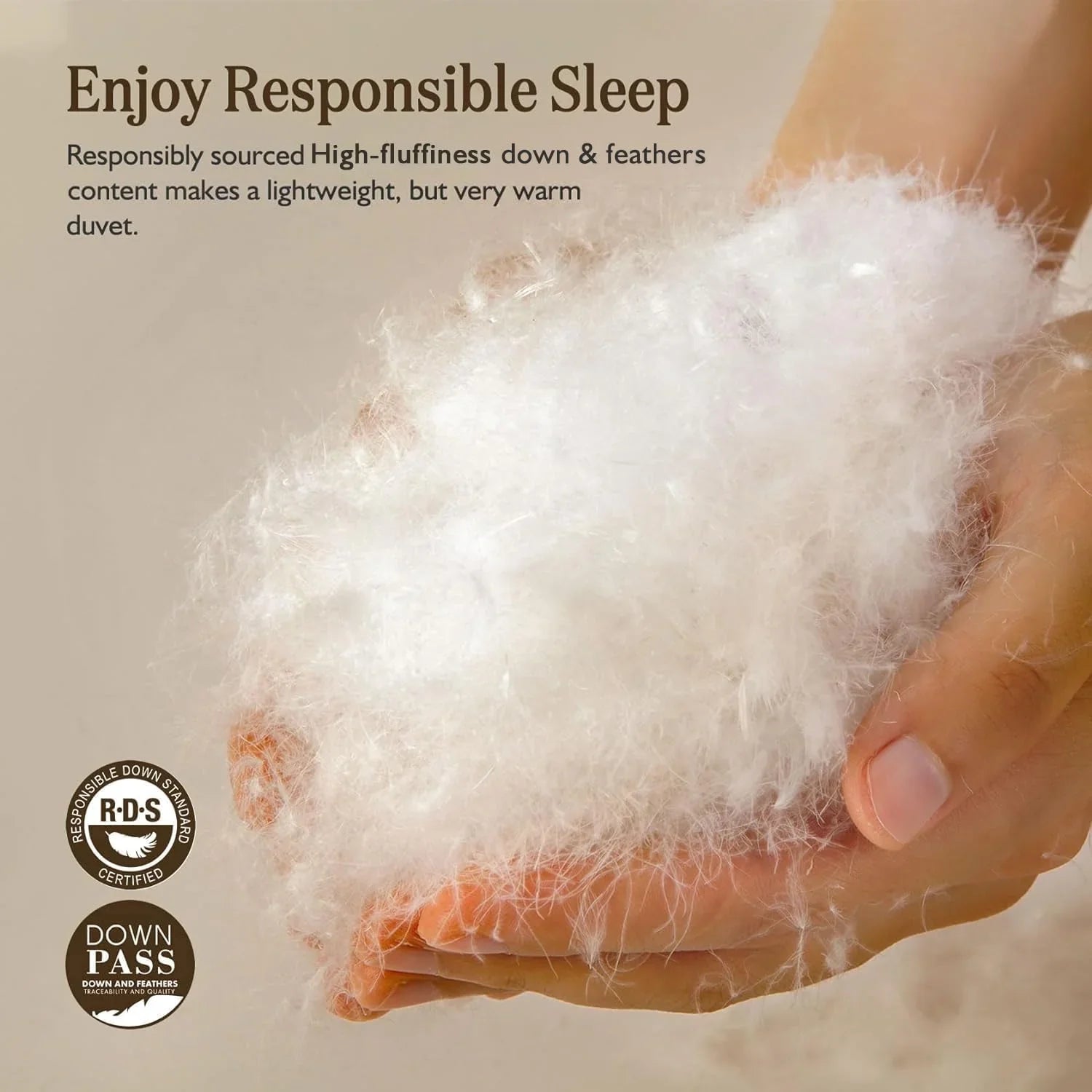 Couette en duvet biologique taille queen, noyau en duvet moelleux, housse 100 % coton, rembourrage en duvet moelleux