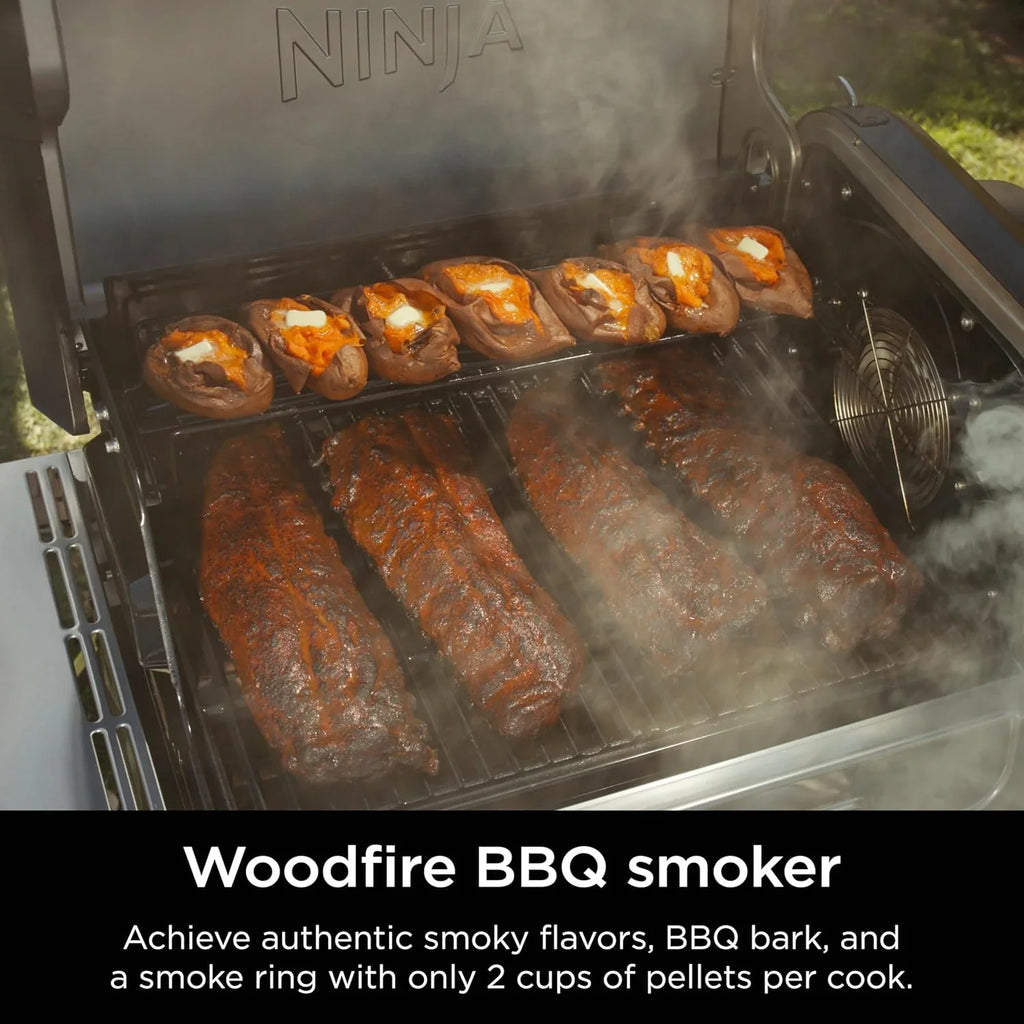 Ninja FlexFlame, Grils et fumoirs, Grils électriques et au propane, Rôtissoires, Grils de barbecue,