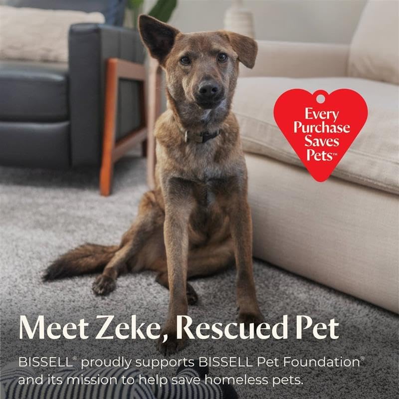 Nettoyeur de tapis portable BISSELL, nettoyeur en profondeur portable pour tapis et tissus d'ameublement, nettoyeur de détails pour voiture/auto