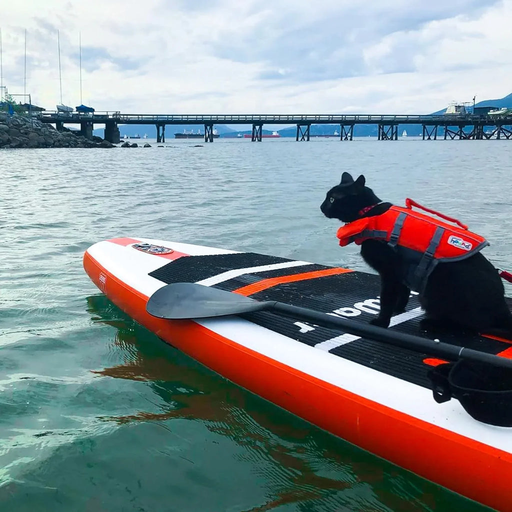 Planche de stand up paddle gonflable FunWater avec accessoires de pagaie SUP haut de gamme, pont EVA antidérapant, pagaie 11'/10'6'