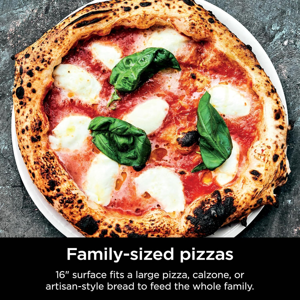 Ninja FlexFlame, Grils et fumoirs, Grils électriques et au propane, Rôtissoires, Grils de barbecue,